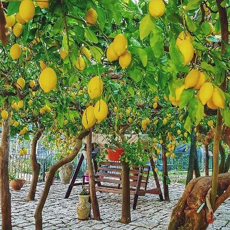 Il Limoneto Degli Angeli Villa Minori Buitenkant foto
