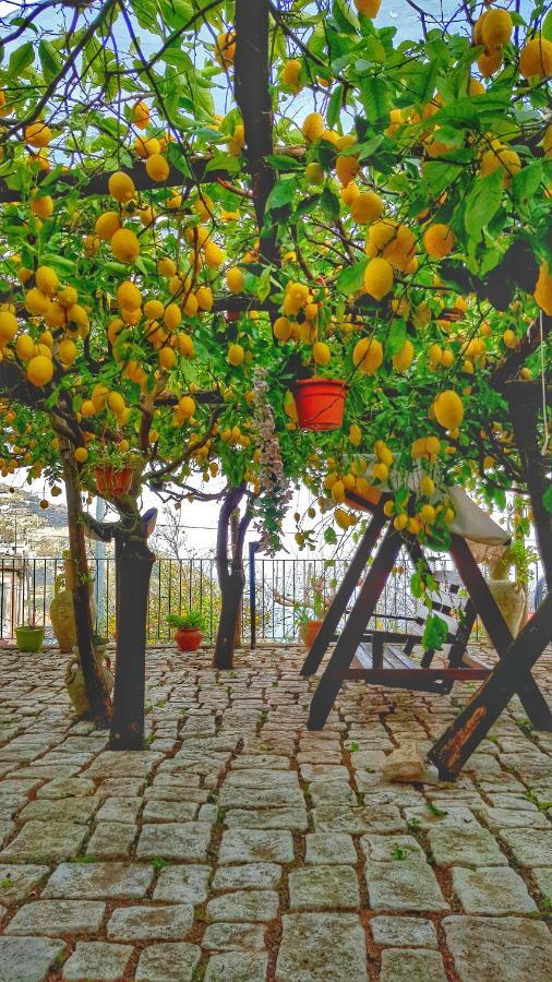 Il Limoneto Degli Angeli Villa Minori Buitenkant foto