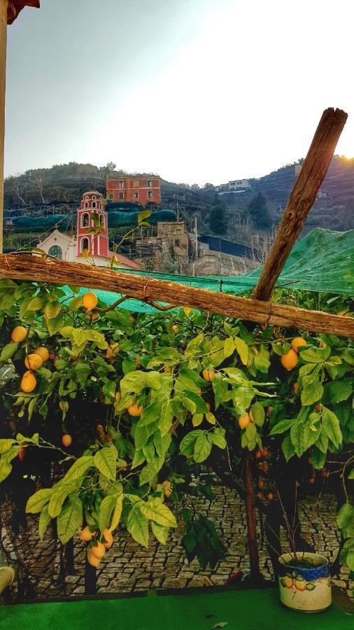 Il Limoneto Degli Angeli Villa Minori Buitenkant foto