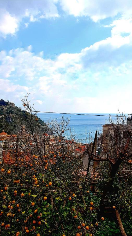 Il Limoneto Degli Angeli Villa Minori Buitenkant foto