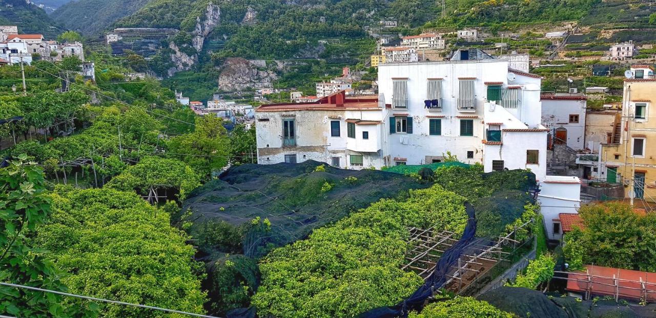 Il Limoneto Degli Angeli Villa Minori Buitenkant foto
