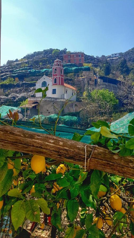 Il Limoneto Degli Angeli Villa Minori Buitenkant foto