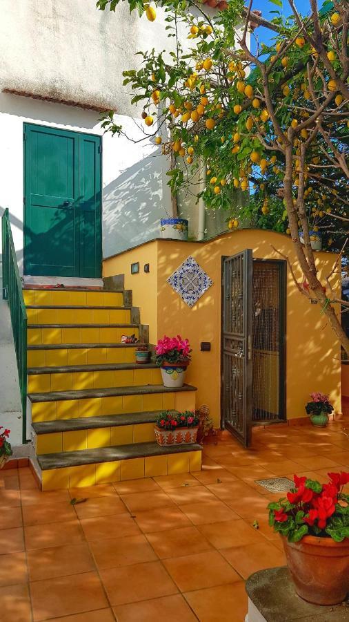 Il Limoneto Degli Angeli Villa Minori Buitenkant foto