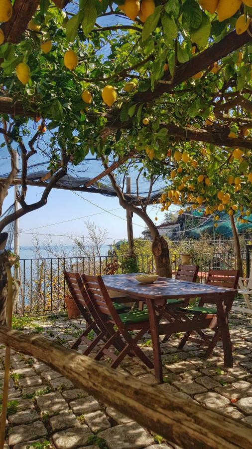 Il Limoneto Degli Angeli Villa Minori Buitenkant foto