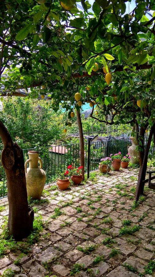 Il Limoneto Degli Angeli Villa Minori Buitenkant foto