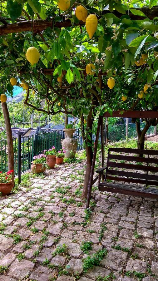 Il Limoneto Degli Angeli Villa Minori Buitenkant foto